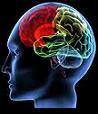 Brain/Mind & Technology